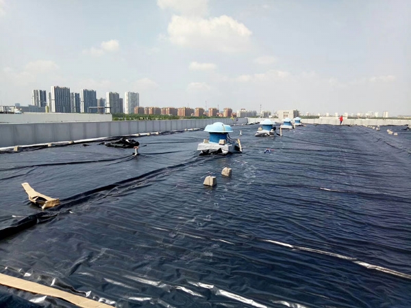 黑膜沼氣池